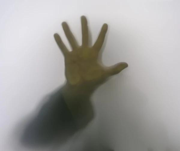 thrillere psihologice  cărți thriller recomandate  cele mai bune thrillere  cărți captivante  top cărți thriller  suspans și mister  literatură psihologică  romane bestseller  thrillere noi 2